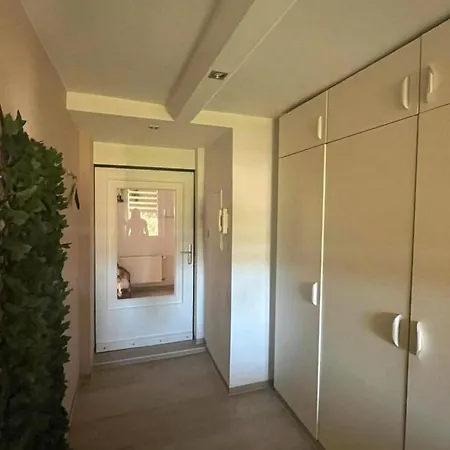 In * Ehrenfriedersdorf