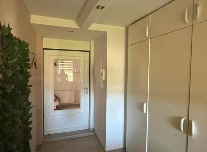 In * Ehrenfriedersdorf